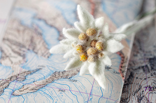 Beautiful photo of a map of Republic of Ecuador and the capital Quito .