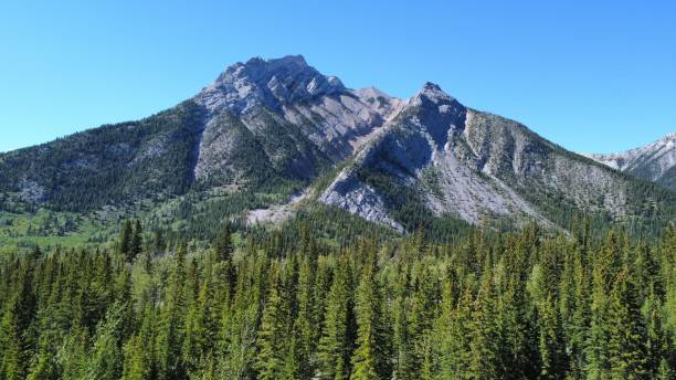istock Beautiful view of mountains and a forest on a sunny day 1417585497