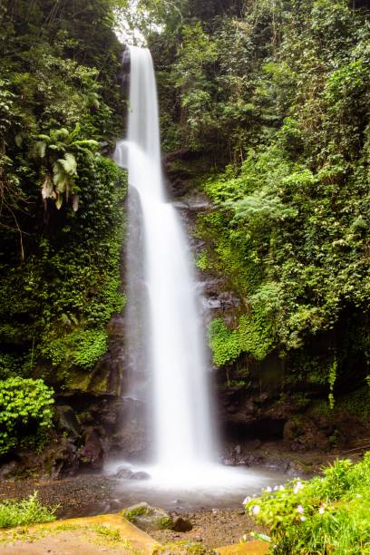 istock Vertical shot of a small waterfall in a forest 1417586230