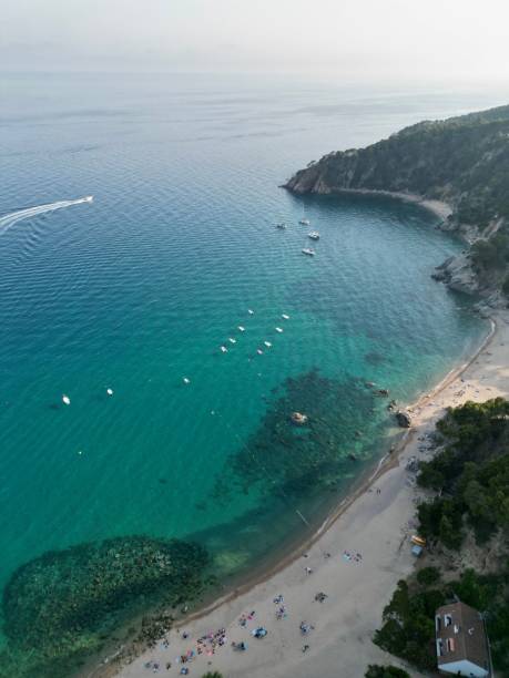 istock Vertical aerial view of the beach sandy coastline with trees 1417587496