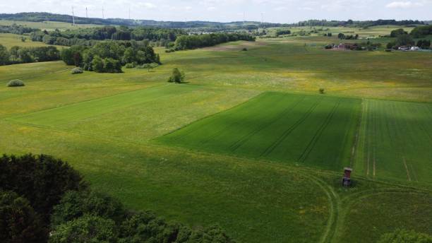 istock Aerial view of a beautiful forest on a sunny day 1417587802