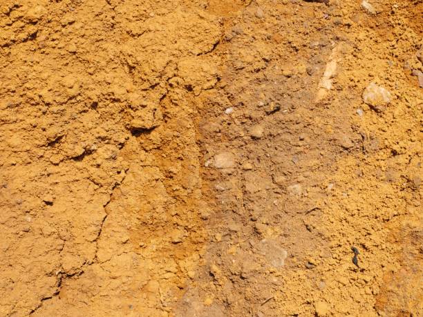 istock Close-up of Soil Background 1417590168