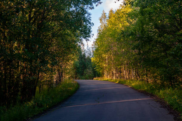 istock road in the autumn forest 1417591720