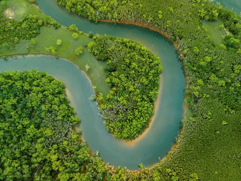 The aerial view of the river surrounded by dense green vegetation. Amazon River, South America.