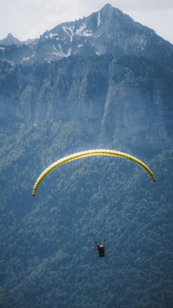 istock Vertical shot of paragliding over mountains covered in trees 1417592223