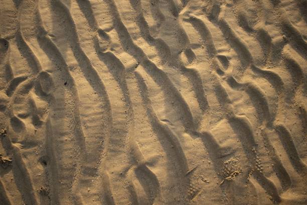 istock Closeup of a sand pattern with waves and shadow 1417592321