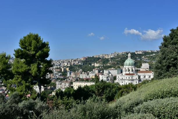istock The Capodimonte wood in Naples, Italy. 1417595314
