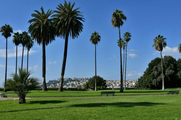 istock The Capodimonte wood in Naples, Italy. 1417595326