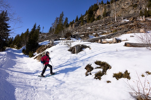 A a snow shoe runner with mountains in the background in the Valais Alps