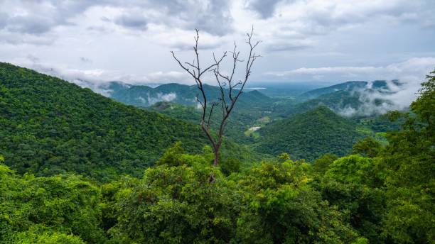 istock Aerial view of greenery mountains surrounded by dense trees under blue bright sky 1417596679