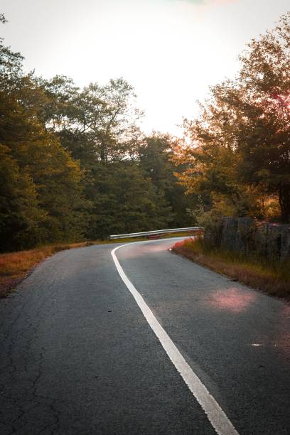 istock Vertical shot of a road surrounded by autumn forest 1417598024