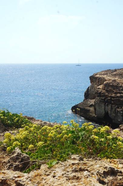 istock Rocky cliff overseeing the blue ocean on a sunny day 1417598157