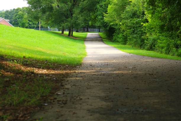 istock Long pathway surrounded by greenery near Knoxville, Tennessee 1417598534
