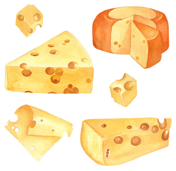 illustrations, cliparts, dessins animés et icônes de ensemble d’illustrations à l’aquarelle du fromage - white background cut out food choice