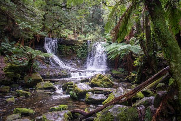istock Vertical shot of a small waterfall streaming from the middle of a forest 1417599698