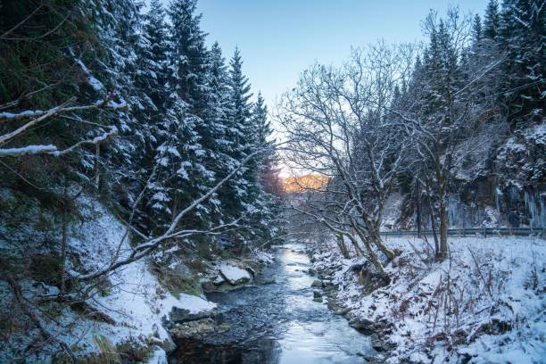 istock Creek flowing through a snowy forest 1417601294