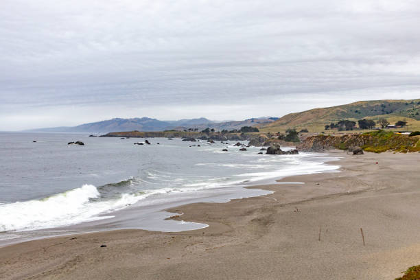 istock coastline with empty beach at Bodega Bay, California 1417603057