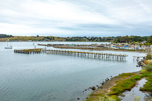 harbor of Bodega Bay with yachts and sailing ships, California