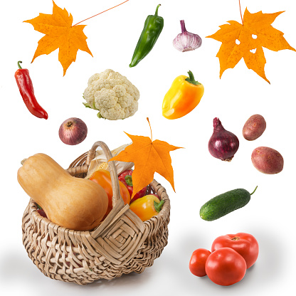 Fresh ripe vegetables and autumn yellow maple leaves fly into the basket. Vegetable harvest levitation on a white background. Isolated