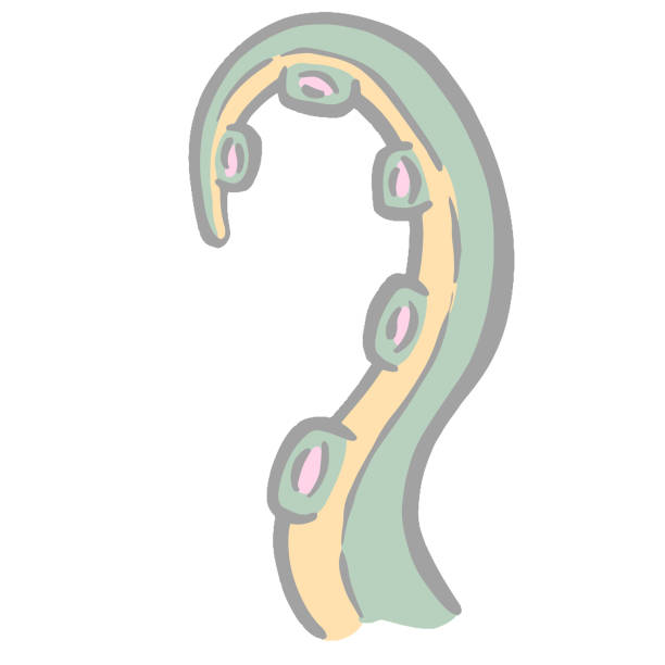 istock Octopus Tentacle Monster Cartoon Illustration for Logo Design in Vector 1417606199