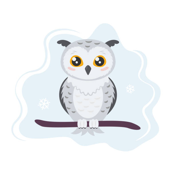 귀여운 만화 눈 덮인 올빼미 - owl snowy owl snow isolated stock illustrations