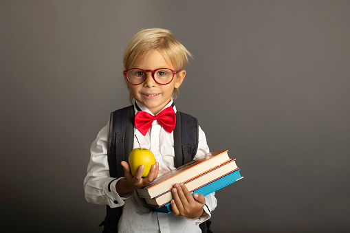 Cute preschool blond child, boy, holding books and notebook, apple, wearing glasses, ready to go to school