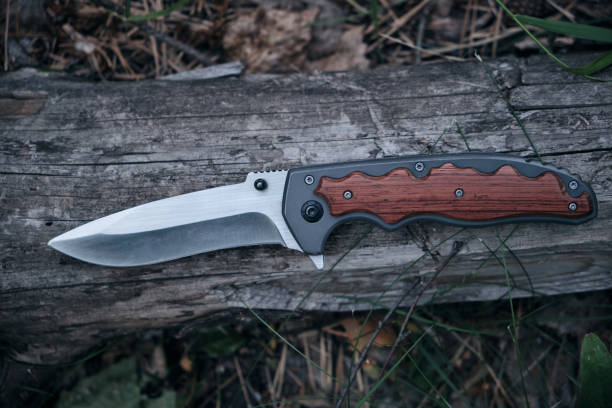 istock Tactical knife survival and protection difficult conditions, lies trunk tree in forest. 1417614113