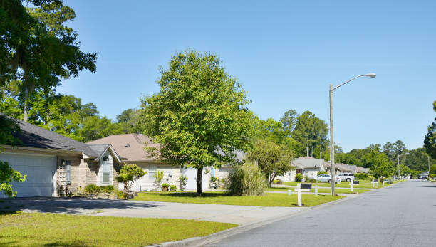 istock Savannah Neighborhood. 1417614270