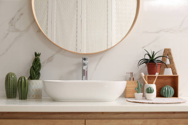 istock Vessel sink and different houseplants on countertop in bathroom 1417617470