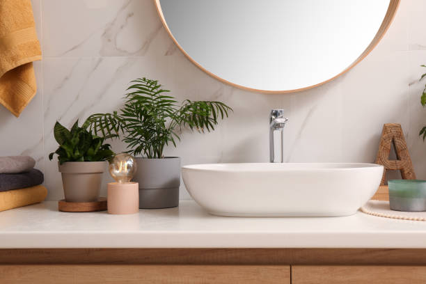 istock Vessel sink and different houseplants on countertop in bathroom 1417617536