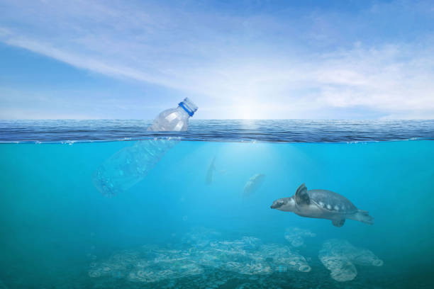 istock Creative background, plastic bottle floating in the ocean, a bottle in the water. The concept of environmental pollution. 1417618189