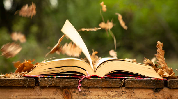 istock Autumn literary novels 1417620078
