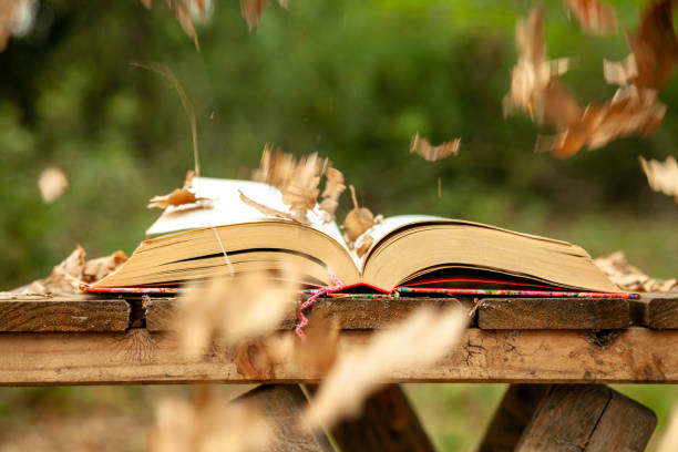 Autumn literary novels