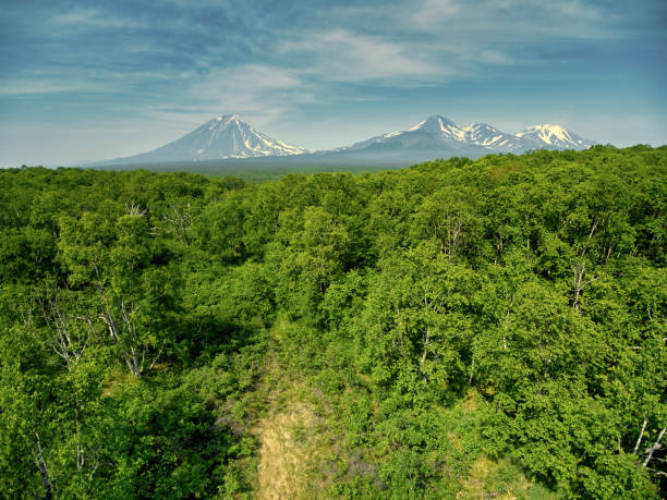View of volcanoes and forest on a summer day from a drone stock photo