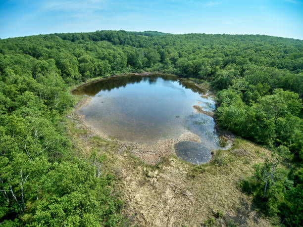 Forest lake on a summer day from a height stock photo