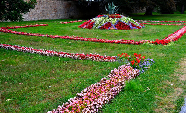 ornamental flower bed in front of the castle on the ground floor. Planting annuals has the shape of a circle or strips bordered by a beautiful lawn. Unreal patterns originating in the Baroque biennial floral geometric polygonal striped flowerbed of pansies blue blue with drip irrigation at the stairs. view from the top of a drone, pelargonium, agave americana, begonias, broiderie, parterre, hills, senecio, tuberhybrida, begonia cineraria maritima stock pictures, royalty-free photos & images