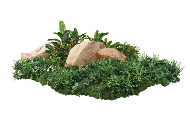 istock stone Garden decoration on a white background 1417628950