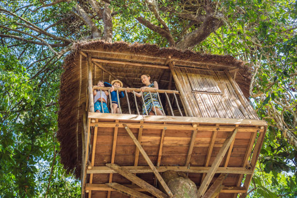 istock Boys in a tree house. Happy childhood 1417629059