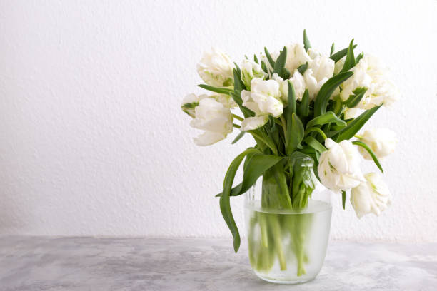istock Bouquet of white tulips 1417642743