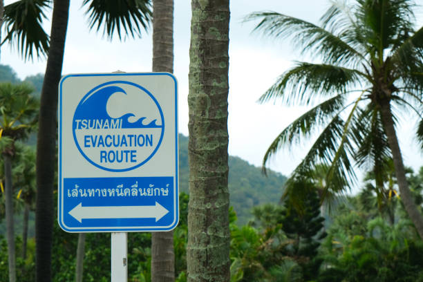 istock Tsunami warning sign to aware people about escape direction 1417645544