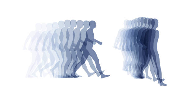 ilustrações de stock, clip art, desenhos animados e ícones de transparent overlapping gray silhouettes. walking man. animation frames. vector illustration for print, web site, poster, placard or wallpaper. - fading