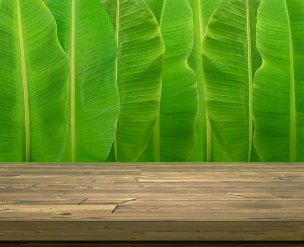 新鮮なバナナの葉を背景にした木製のテーブル - banana leaf food thailand thai culture ストックフォトと画像
