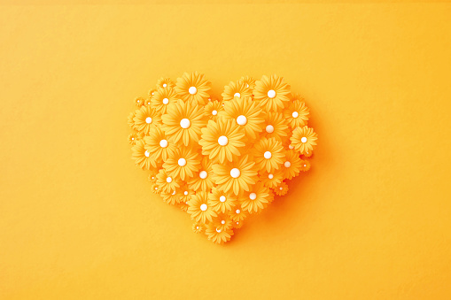 Yellow heart shaped by yellow daisies on yellow background. Horizontal composition with copy space. Directly above. Thanksgiving concept.