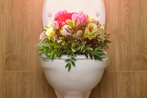 Close-up of a bouquet of flowers in a modern white ceramic toilet bowl on a brown background. Flowers grow from the toilet, horizontal photo