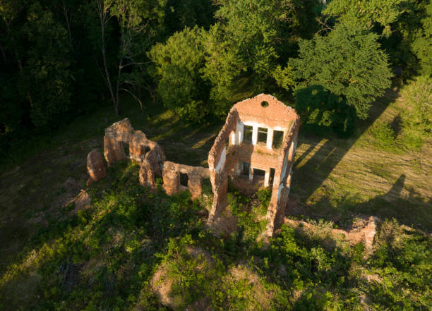 istock Abandoned ruined building overgrown with trees. 1417662683