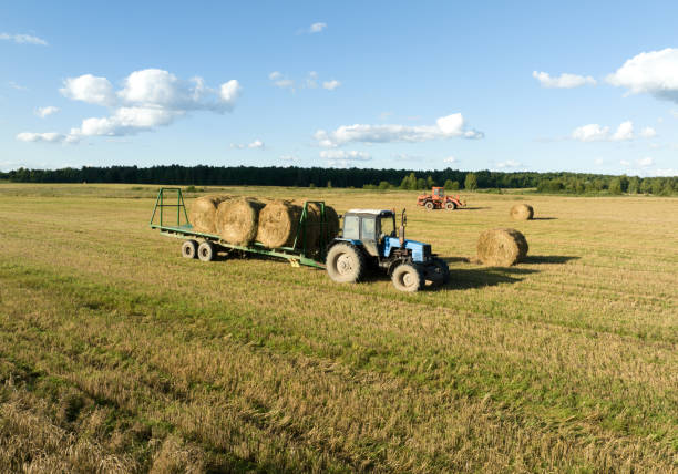 istock Hay Making. Front end loader loads round bales of straw from Hay Trailer. 1417662954