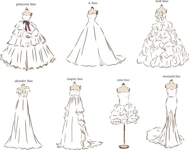 Vector illustration of different types of wedding dresses