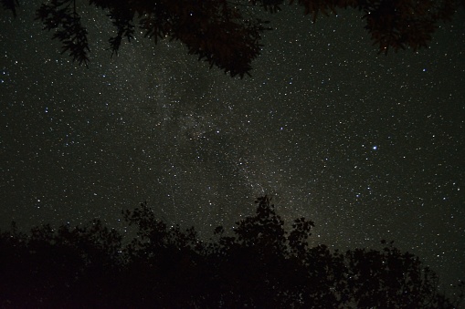 The Milky way galaxy and stars, and silhouette of trees. photo taken from my house in Denmark