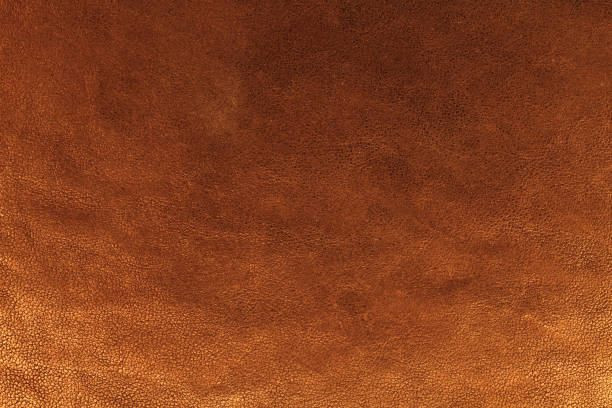 Leather Texture leather is illuminated multicolor. snakes case stock pictures, royalty-free photos & images
