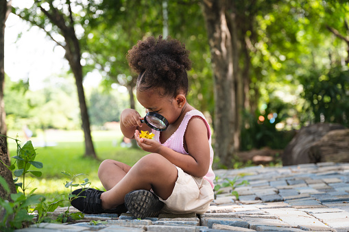 African American kid girl explore with magnifying glass in the forest